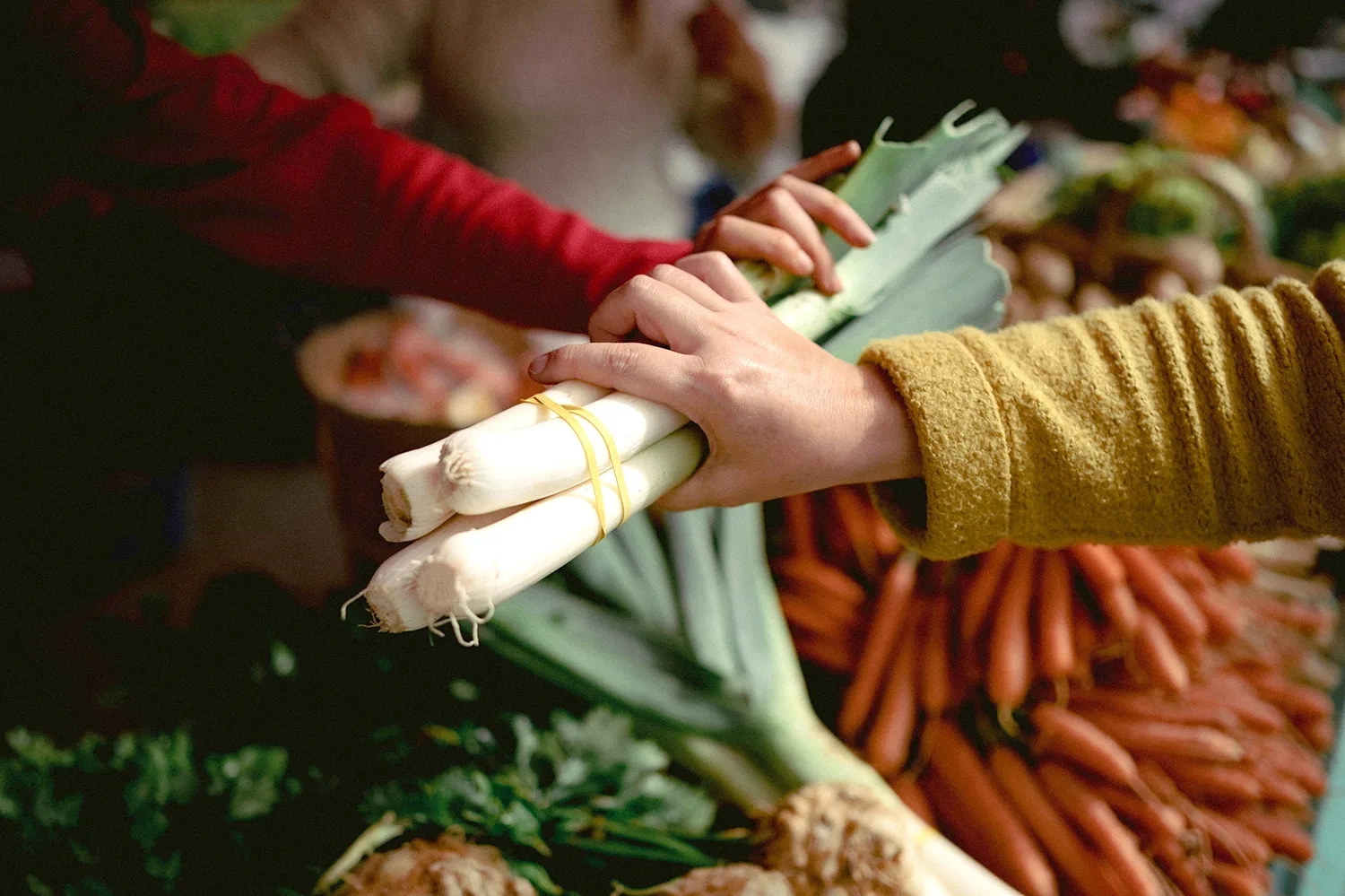 PH-Alimentation-Courses